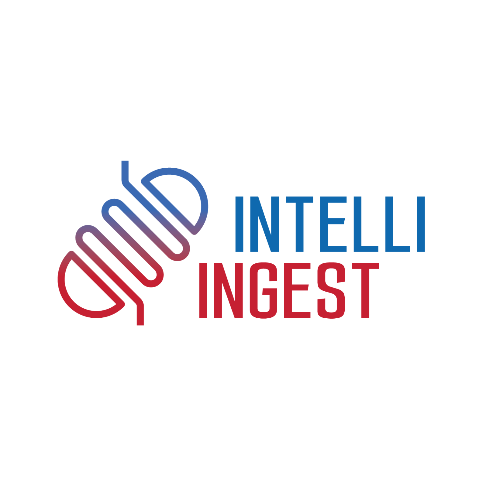 INTELLI-INGEST logo